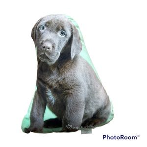 ▫️RACHAELHALE: Comfy & soft dog pillow for children, excellent condition▫️